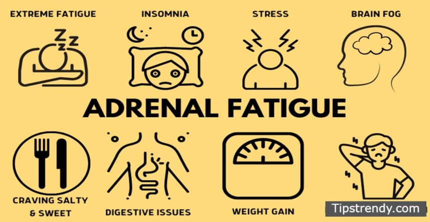 Adrenal Fatigue