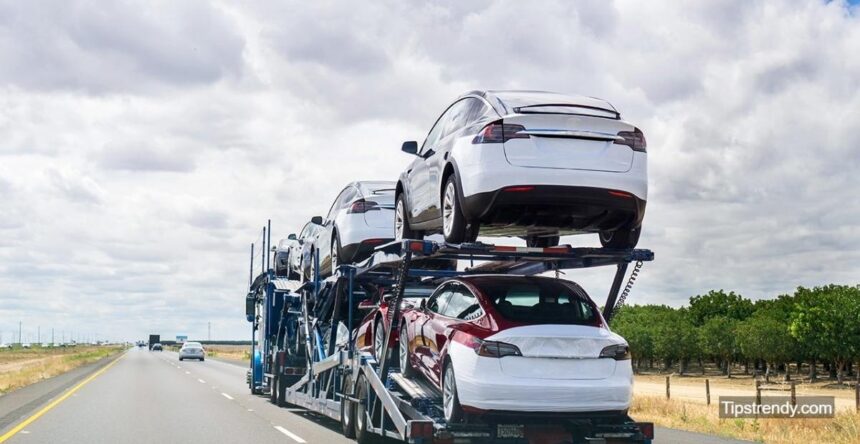 Cheap Car Shipping