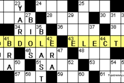 Words Of Clarification Crossword