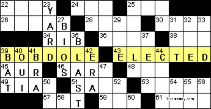 Words Of Clarification Crossword