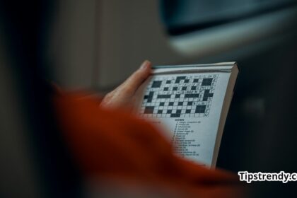 The Get Up Kids And Saves The Day Crossword